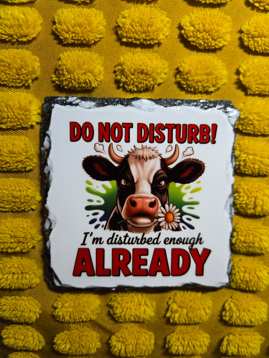 Slate Coaster - Do Not Disturb