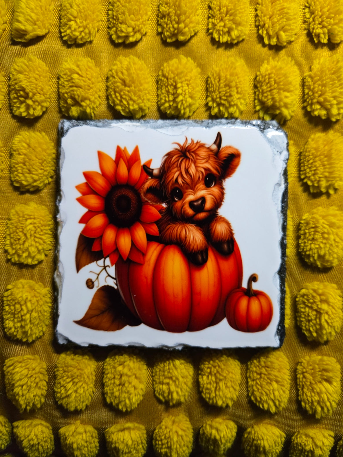Slate Coaster - Pumpkin Highland Cow