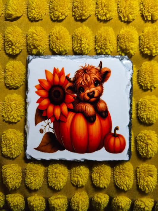 Slate Coaster - Pumpkin Highland Cow