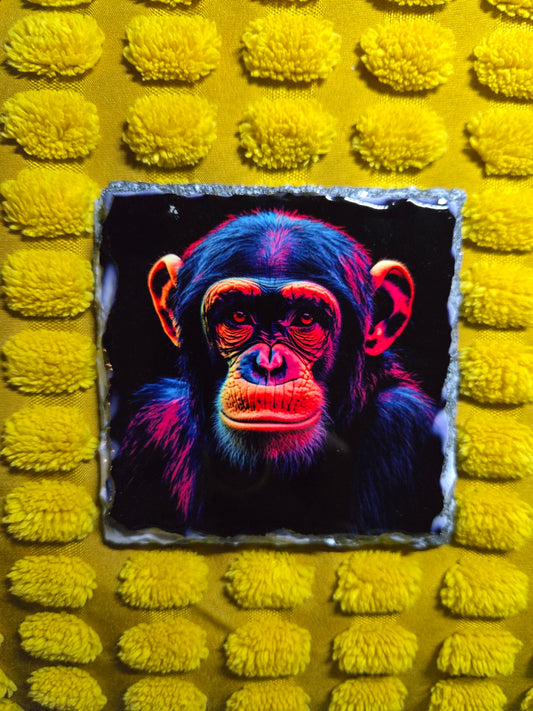 Slate Coaster - Chimpanzee